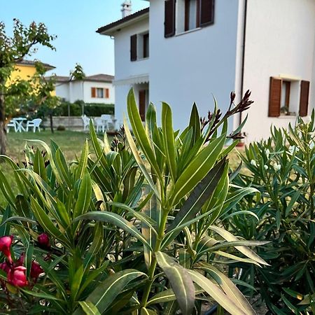 Private Apartment With Garden Cannigione Exterior photo